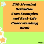 ESD Meaning Definition Uses Examples and Real-Life Understanding