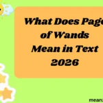 What Does Page of Wands Mean in Text