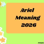Ariel Meaning