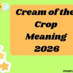 Cream of the Crop Meaning