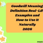 Goodwill Meaning Definition Real-Life Examples and How to Use It Naturally