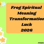 Frog Spiritual Meaning Transformation Luck
