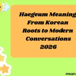 Haegeum Meaning From Korean Roots to Modern Conversations