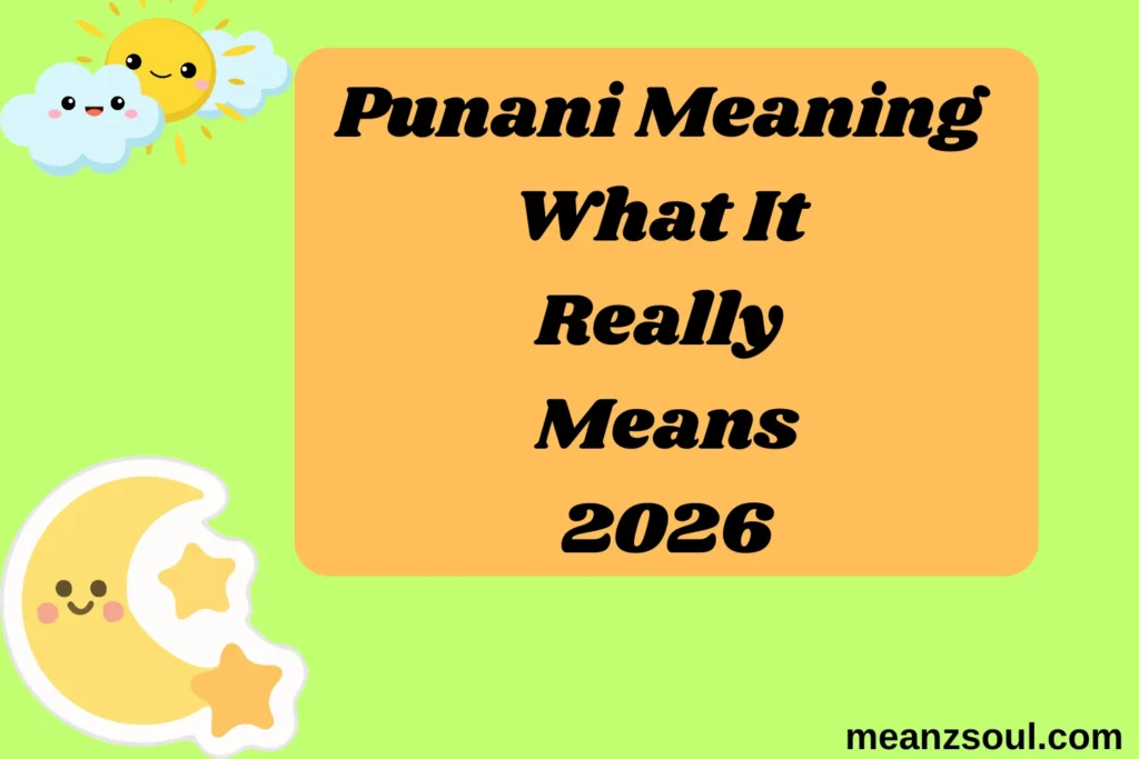 Punani Meaning What It Really Means