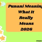 Punani Meaning What It Really Means