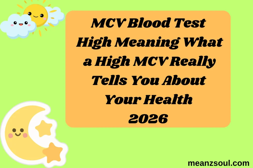 MCV Blood Test High Meaning What a High MCV Really Tells You About Your Health