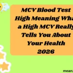 MCV Blood Test High Meaning What a High MCV Really Tells You About Your Health
