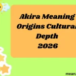 Akira Meaning Origins Cultural Depth