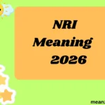 NRI Meaning