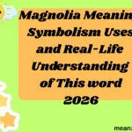 Magnolia Meaning Symbolism Uses and Real-Life Understanding of This Word