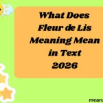 What Does Fleur de Lis Meaning Mean in Text