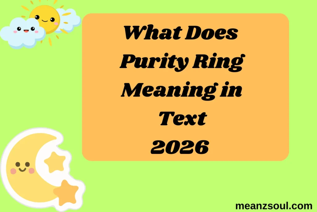What Does Purity Ring Meaning in Text