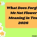 What Does Forget Me Not Flower Meaning in Text