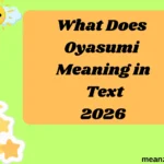 What Does Oyasumi Meaning in Text