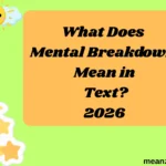 What Does Mental Breakdown Mean in Text?