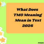 What Does TMO Meaning Mean in Text