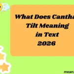 What Does Canthal Tilt Meaning in Text