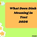 What Does Dink Meaning in Text