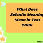 What Does Selenite Meaning Mean in Text