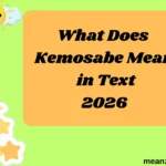What Does Kemosabe Mean in Text