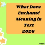 What Does Enchanté Meaning in Text