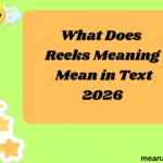What Does Reeks Meaning Mean in Text