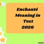 Enchanté Meaning in Text