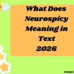 What Does Neurospicy Meaning in Text