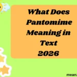 What Does Pantomime Meaning in Text