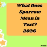 What Does Sparrow Mean in Text?