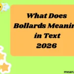 What Does Bollards Meaning in Text