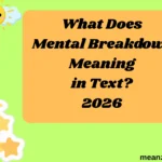 What Does Mental Breakdown Meaning in Text?