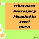 What Does Neurospicy Meaning in Text?