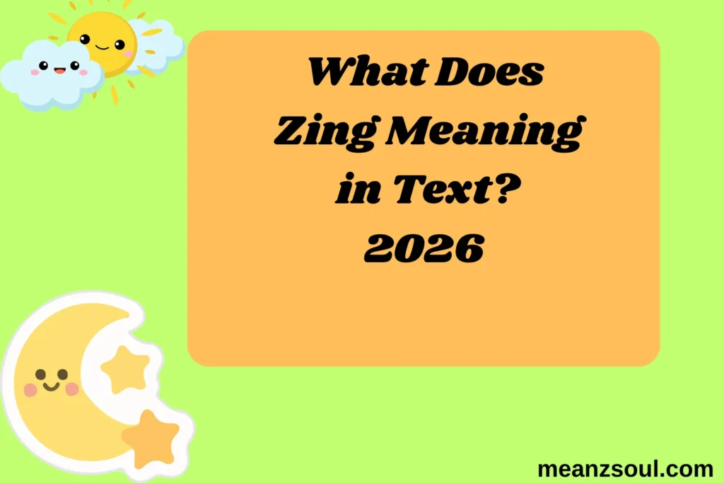 What Does Zing Meaning in Text?