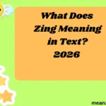 What Does Zing Meaning in Text?