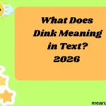What Does Dink Meaning in Text?