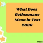What Does Gethsemane Mean in Text