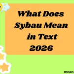What Does Sybau Mean in Text