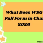 What Does WSG Full Form in Chat