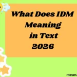 What Does IDM Meaning in Text