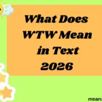 What Does WTW Mean in Text