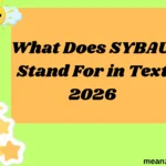 What Does SYBAU Stand For in Text