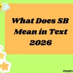 What Does SB Mean in Text