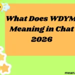 What Does WDYM Meaning in Chat