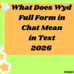 What Does Wyd Full Form in Chat Mean in Text