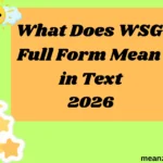 What Does WSG Full Form Mean in Text