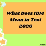 What Does IDM Mean in Text
