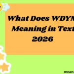 What Does WDYM Meaning in Text