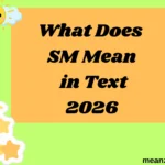 What Does SM Mean in Text