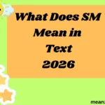 What Does SM Mean in Text
